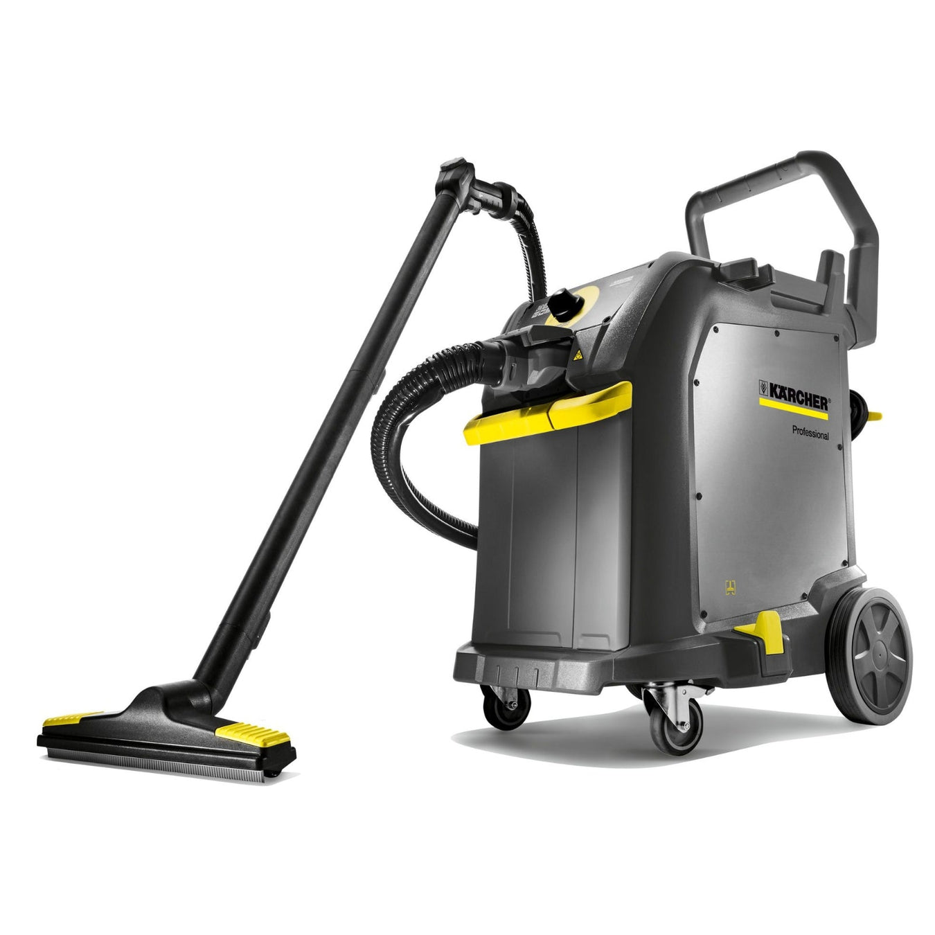 Professional Steam Cleaners